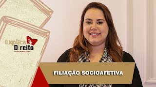 Explica Direito Filiação Socioafetiva  2019 [upl. by Claudell]